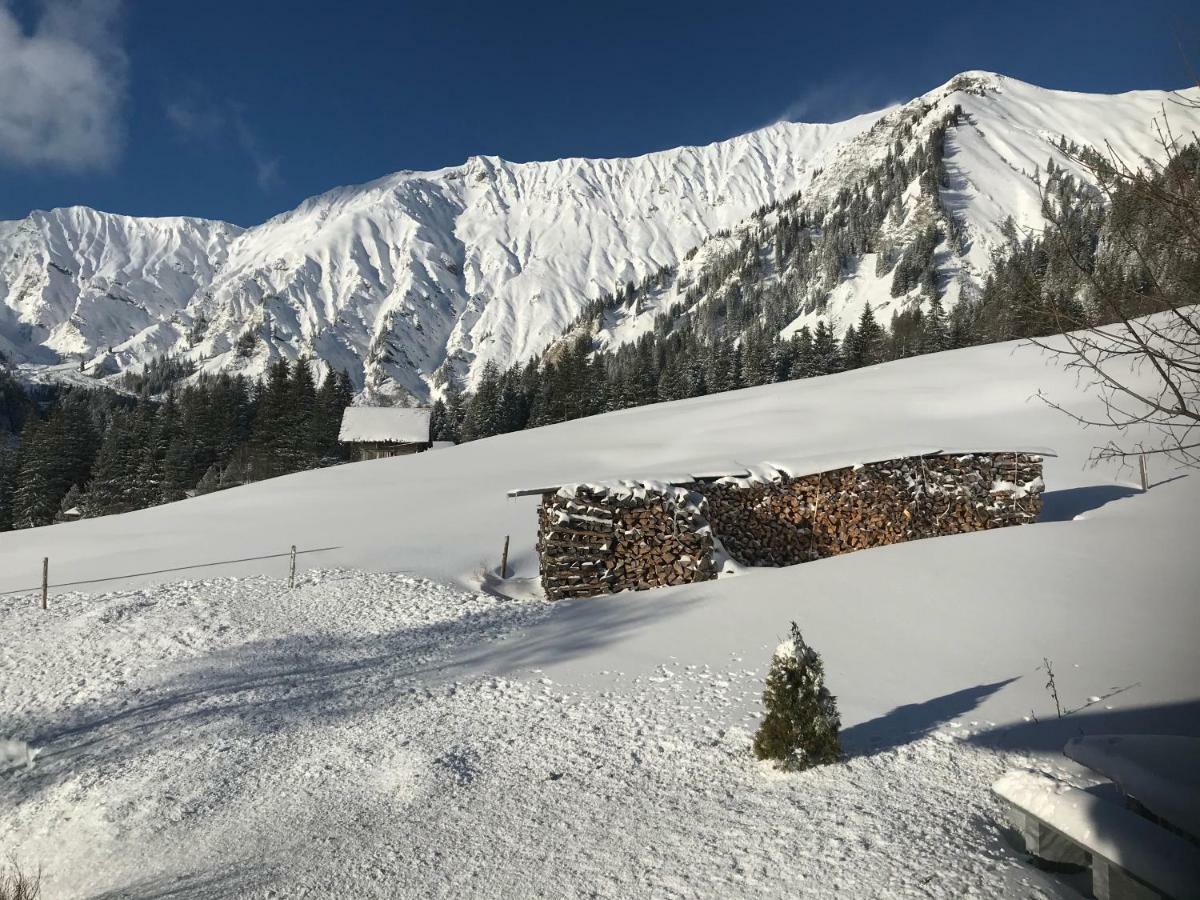 Abelied Hotell Adelboden Exteriör bild