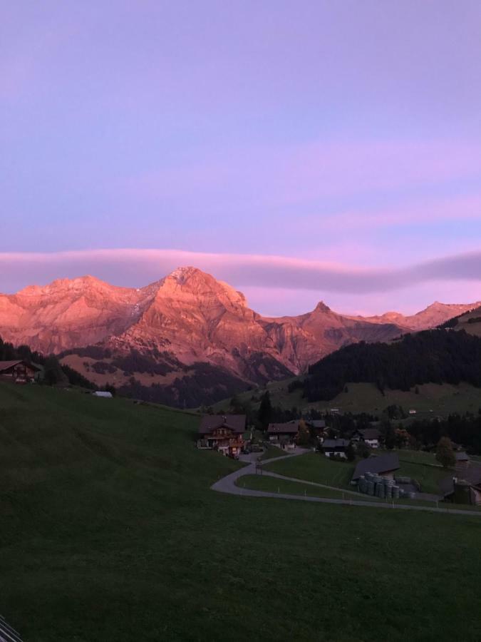 Abelied Hotell Adelboden Exteriör bild