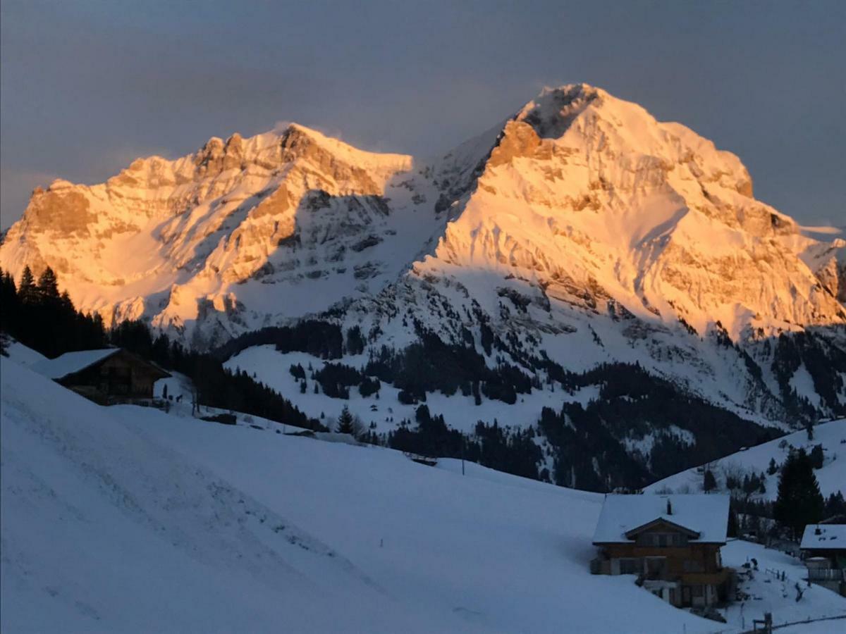 Abelied Hotell Adelboden Exteriör bild