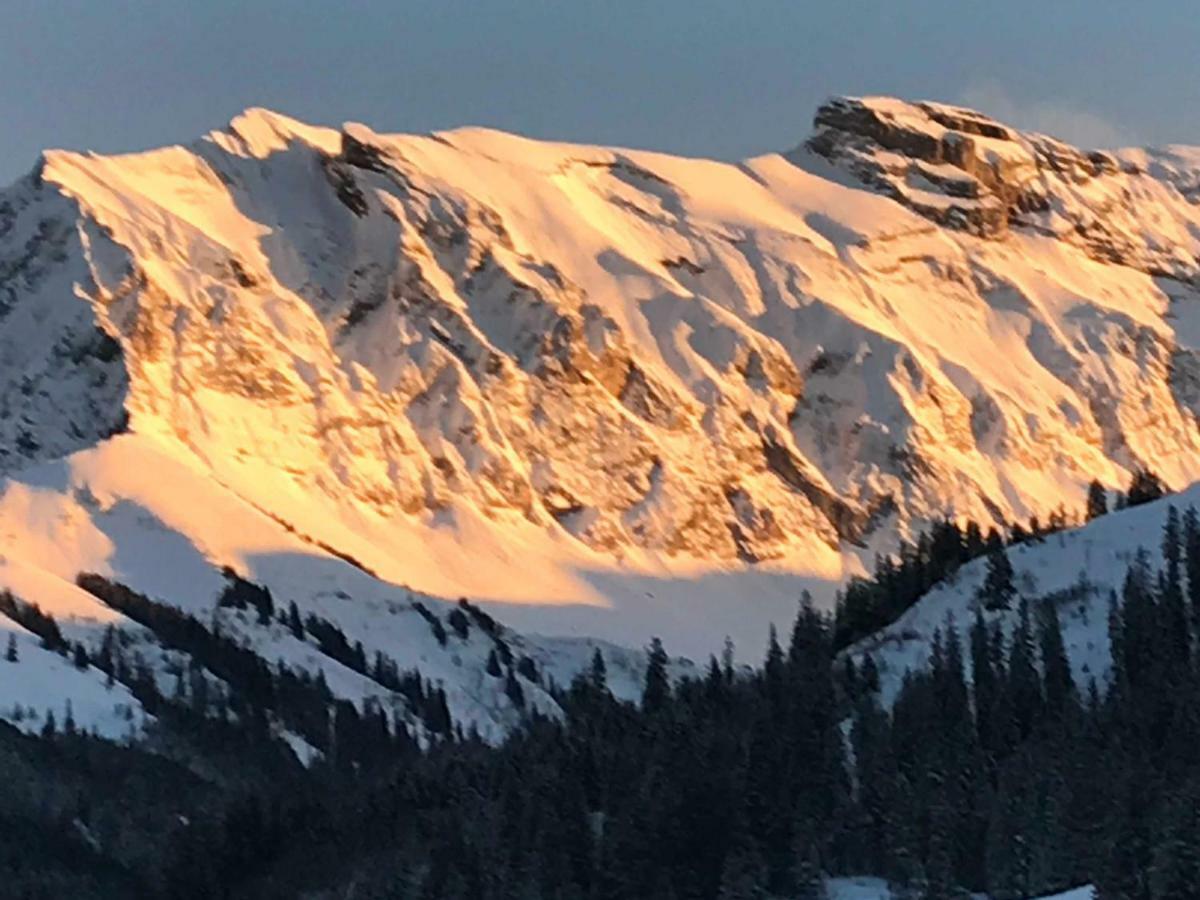 Abelied Hotell Adelboden Exteriör bild